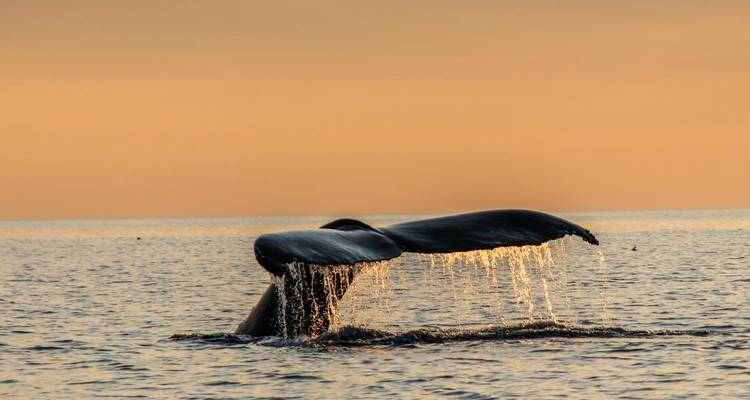 Explorer les Maritimes : Un voyage en voiture à travers le Canada atlantique - Landsby 3