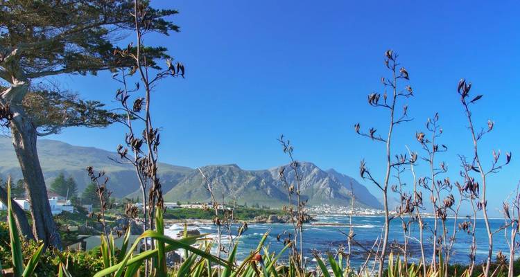 Cape Town and Garden Route - ATC Group 10