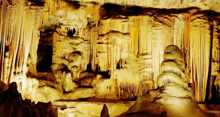 Cape Town and Garden Route - ATC Group 7