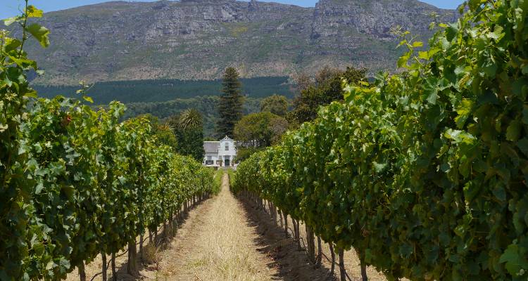Cape Town and Garden Route - ATC Group 3