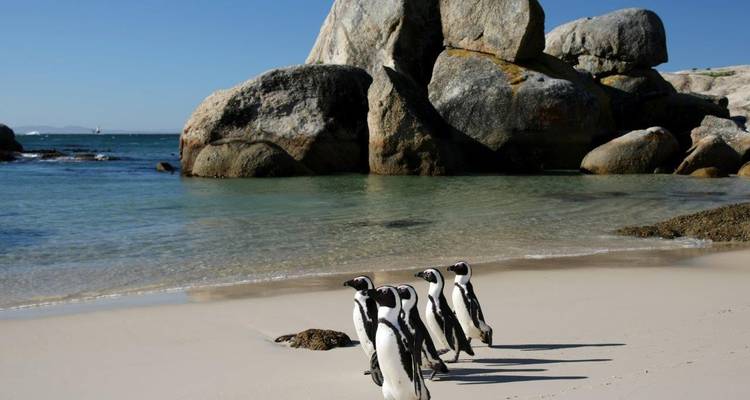 Ciudad del Cabo, Kruger y Ruta Jardín - ATC Group 3