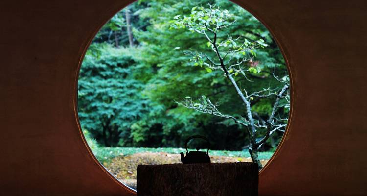 8Days Japan's Kanto In-depth Tour(private guide & driver） - UME Travel Co. Ltd 1