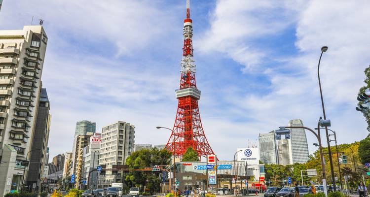 8Days Japan's Kanto In-depth Tour(private guide & driver） - UME Travel Co. Ltd 6