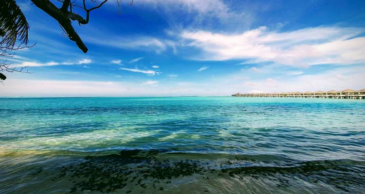 Türkisfarbenes Wasser eines tropischen Strandes mit Blick auf Überwasser-Bungalows.
