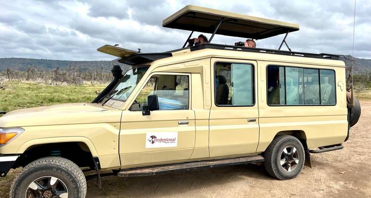 Safari de lujo de 6 días con todo incluido - Descubre los tesoros del norte de Tanzania - Professional Safari Africa 8