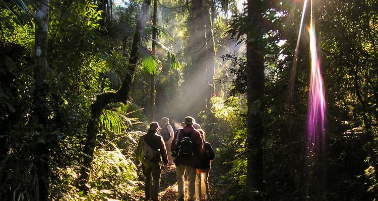 5-Day Iguazu Falls: Remote Jungle Lodge Escape with Airfare from Buenos Aires - Signature DMC 4