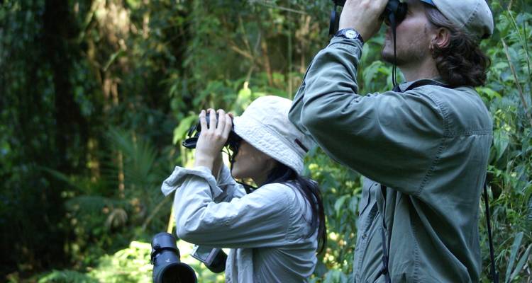 5-Day Iguazu Falls: Remote Jungle Lodge Escape with Airfare from Buenos Aires - Signature DMC 1