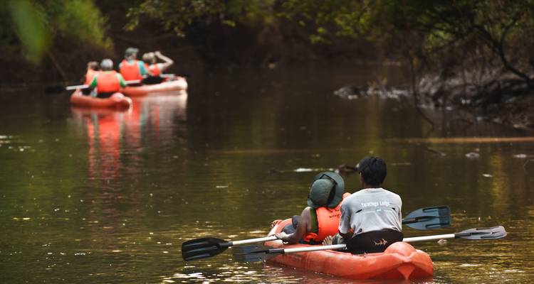 5-Day Iguazu Falls: Remote Jungle Lodge Escape with Airfare from Buenos Aires - Signature DMC 6