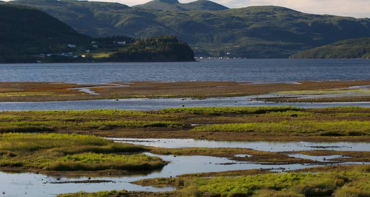 Battle Harbour et Northern Peninsula à Terre-Neuve-et-Labrador - Atlantic Tours & Travel 3