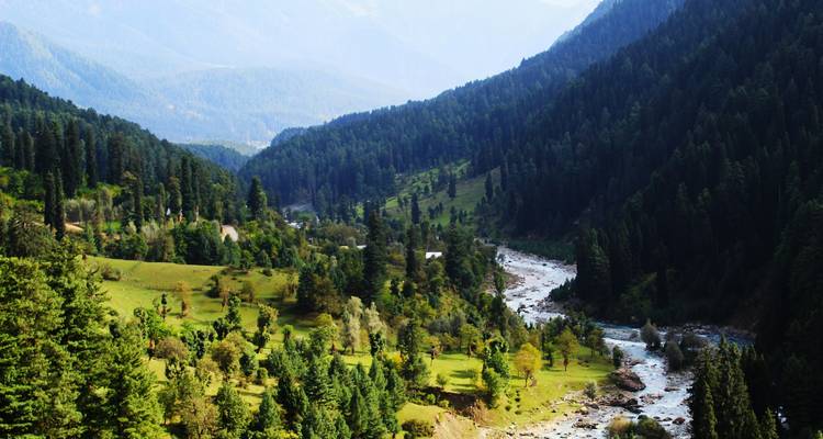 Valle pintoresco con un río que fluye a través de densos bosques.