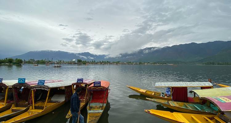Barcas shikara tradicionales en el lago Dal con montañas al fondo.