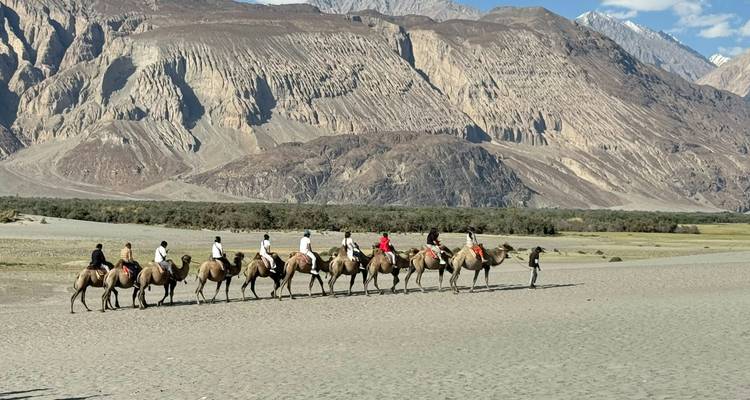 Fila de camellos con turistas caminando por el valle de Nubra.
