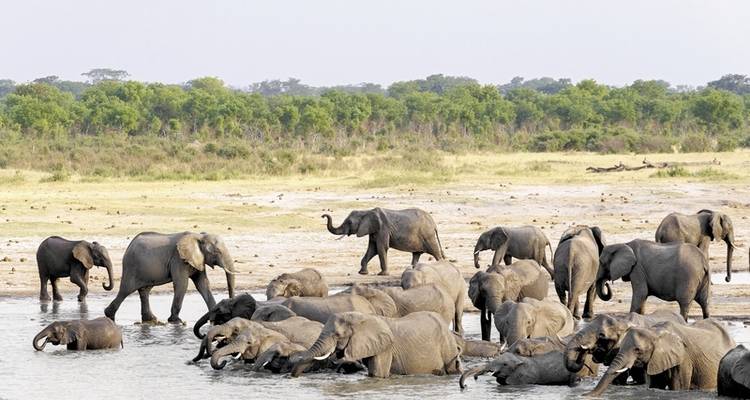 Zambezi Queen 2 nuits - MEIERS WELTREISEN 9