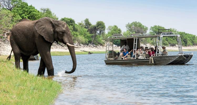 Elephant approaching a boat with tourists.