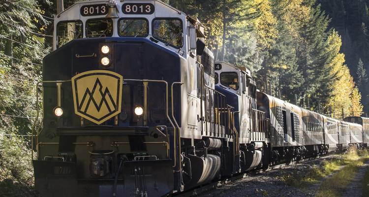The Rocky Mountaineer locomotive powers through dappled forest in golden autumn light.