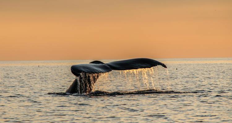 Wonders of the Bay of Fundy: A Self-Drive Coastal Journey - Landsby 4