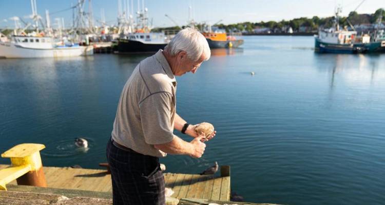 Wonders of the Bay of Fundy: A Self-Drive Coastal Journey - Landsby 8