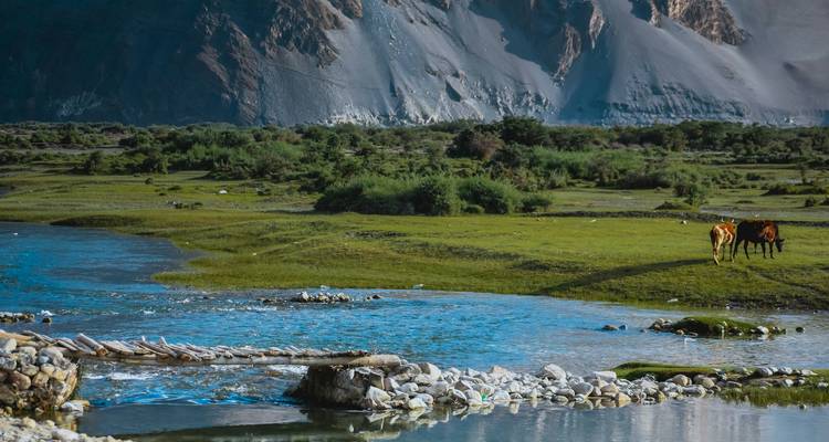 Sereen landschap met een rivier en weelderig groen op de voorgrond.