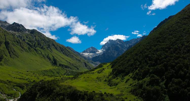 Excursión a Hemkund Sahib con el Valle de las Flores - Ramble Advisor 6