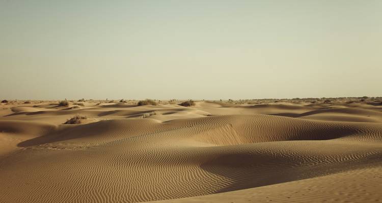 Rolling sand dunes under a clear sky.