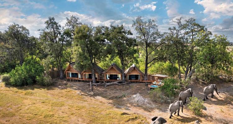 Exterior view of safari lodges surrounded by trees with elephants walking by.