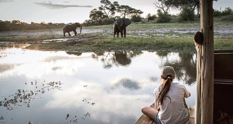 Person sitting on a porch watching elephants at a pond.
