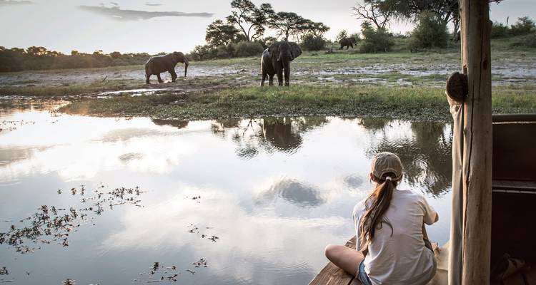 Person observing elephants near a waterhole from a lodge