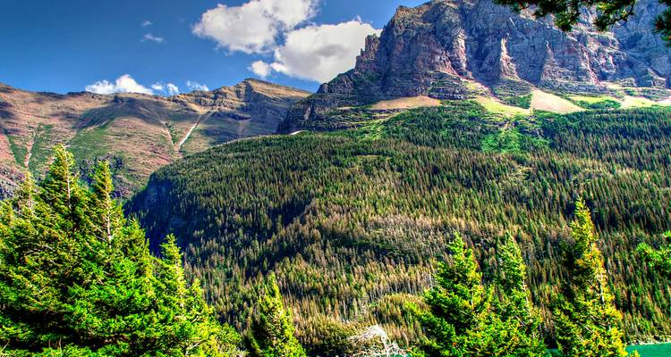 8-Day USA & Canada National Parks Small Group Tour | Banff, Jasper, Glacier, Waterton & More – From Calgary to Seattle - Calgary Tours 1