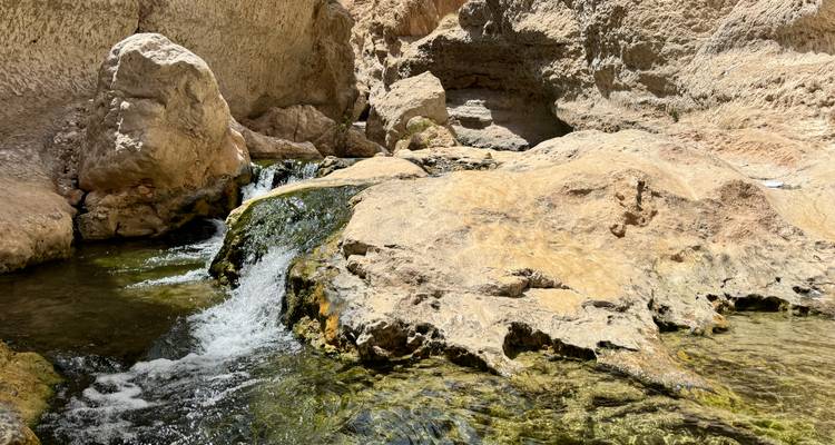 Oman Highlights: 5 Unforgettable Journeys - GidOman 9