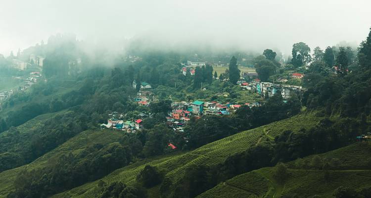 Short Trip to Darjeeling - Ramble Advisor 4