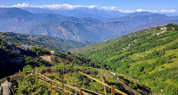 Una vista panorámica de montañas con campos en terrazas.