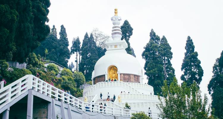Structure blanche en forme de pagode avec forêt environnante.