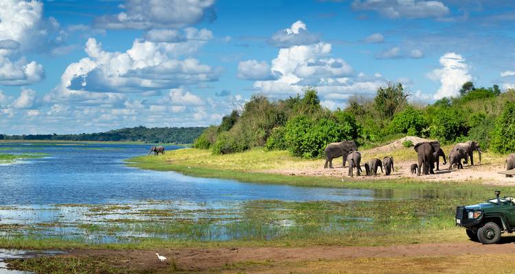 Le meilleur du Zimbabwe : 9 jours de safari de luxe en avion vers les piscines de Mana, Hwange et les chutes Victoria - T.S TOURS 6