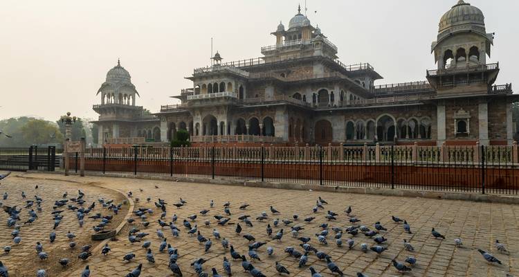 Historisches Gebäude mit Tauben, die sich im Innenhof versammelt haben.