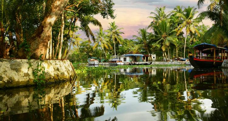 Rustige gracht met weelderige groen en boten.