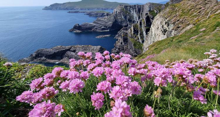 Les icônes de l'Irlande (Groupe classique) - Insight Vacations 5