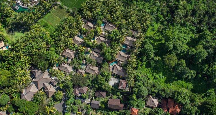 15-Day Vietnam & Bali Discovery: Culture, Nature, and Tropical Paradise - Open Asia Travel  9