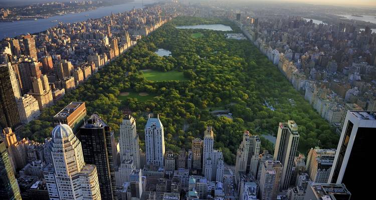 USA Cityhopping: Gran Manzana, Luces Brillantes y Noches de Playa - journaway 4