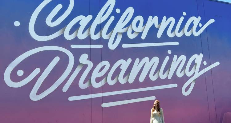USA Cityhopping: Big Apple, Bright Lights & Beach Nights - journaway 6
