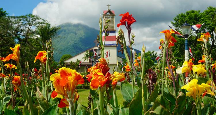 Bunte Blumen mit Berg und Kirche im Hintergrund.