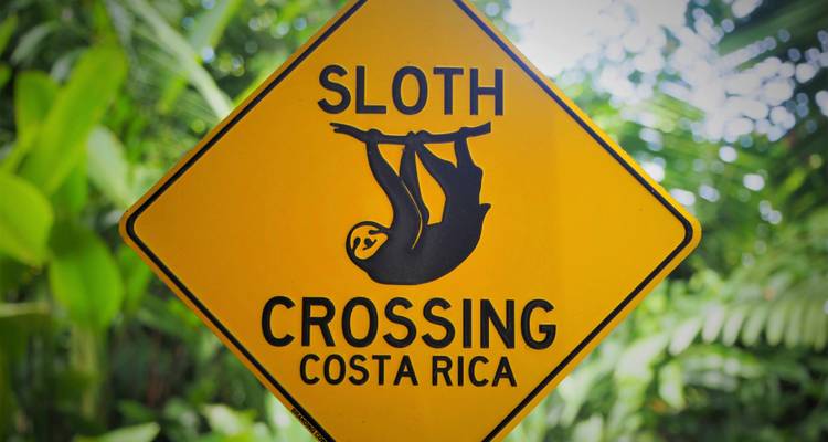 Schild, das einen Faultier-Übergang in Costa Rica zeigt.
