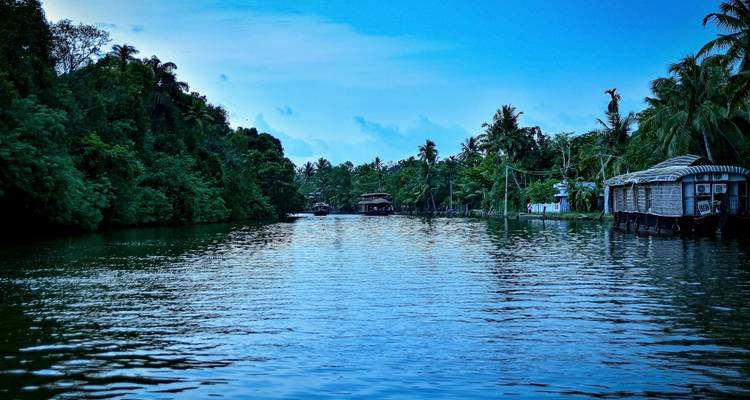 Excursión por los remansos y la fauna de Kerala - Ramble Advisor 1