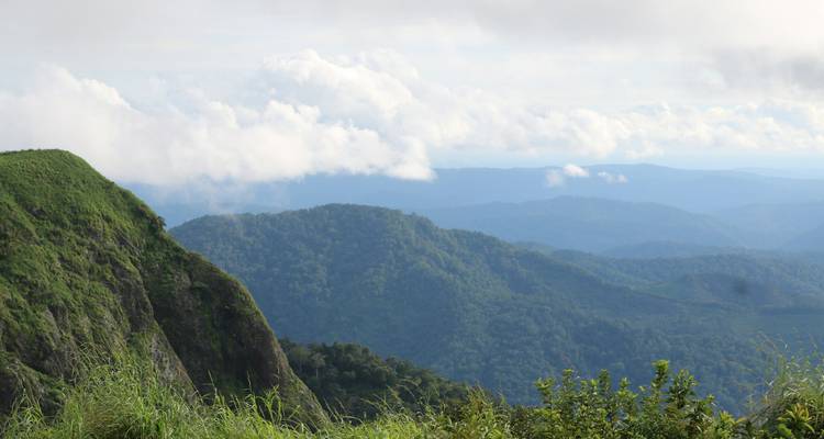 Excursión por los remansos y la fauna de Kerala - Ramble Advisor 6