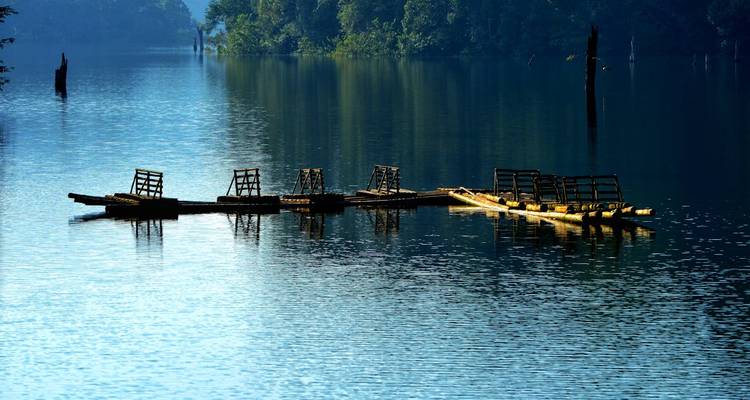 Excursión por los remansos y la fauna de Kerala - Ramble Advisor 10