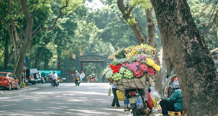 Explorador de Vietnam: De ciudades vibrantes a islas tranquilas - Open Asia Travel  1