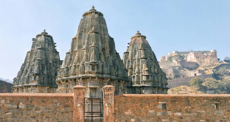 Circuit majestueux au Rajasthan avec repas en demi-pension et entrée dans des sites emblématiques - Ramble Advisor 5