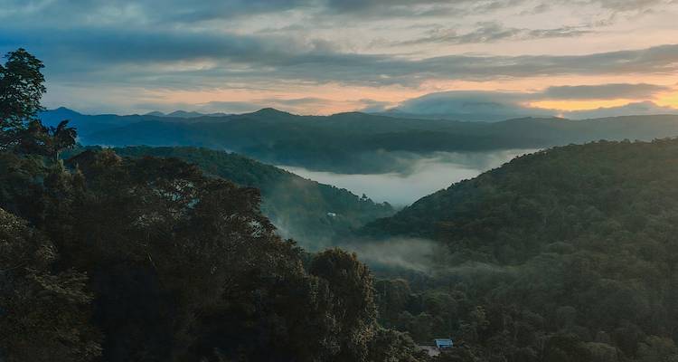 Coorg Wayanad Tour Package - Ramble Advisor 10