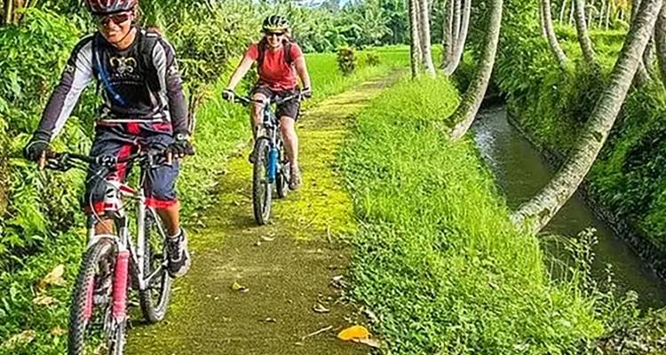 Des cyclistes roulant le long d'un sentier verdoyant au bord d'un canal.