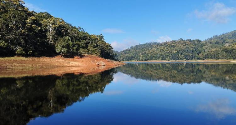 Serene lake with clear reflections of trees on a sunny day.