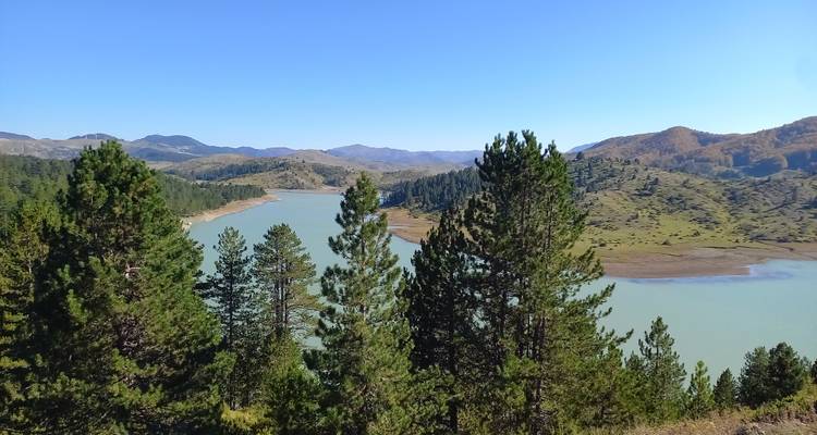 Vue pittoresque d'un lac vert pâle sinueux encadré par des collines couvertes de pins.